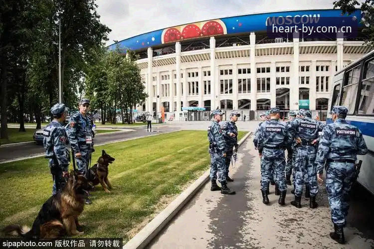 揭秘世界杯安保背后：仅三名英国警员赴美，by体育平台带你读懂赛事真相